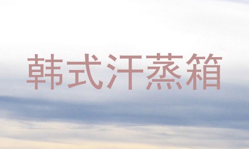 韩式汗蒸箱