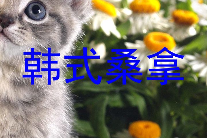 韩式桑拿