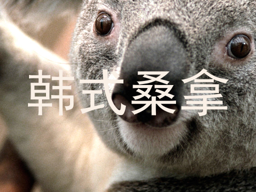 韩式桑拿