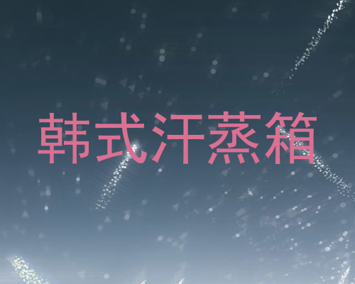 韩式汗蒸箱