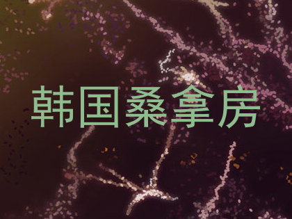 韩国桑拿房