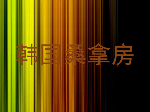 韩国桑拿房