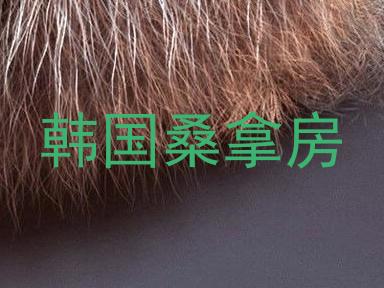 韩国桑拿房