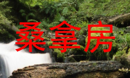 桑拿房