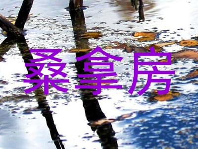 桑拿房