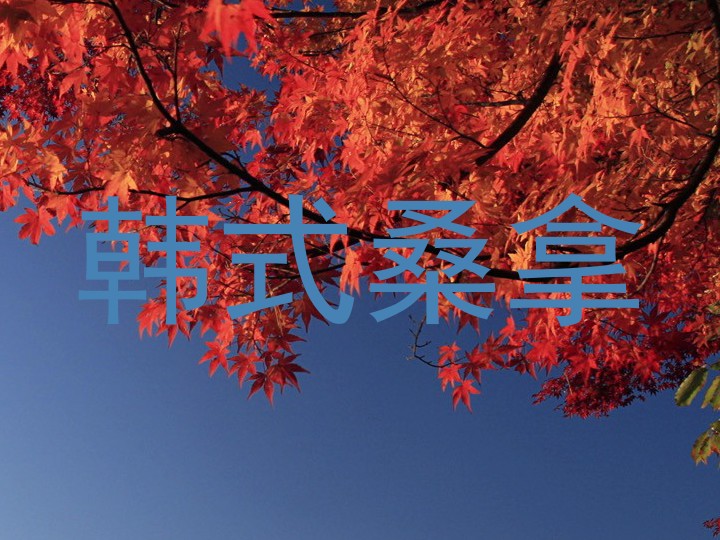 韩式桑拿