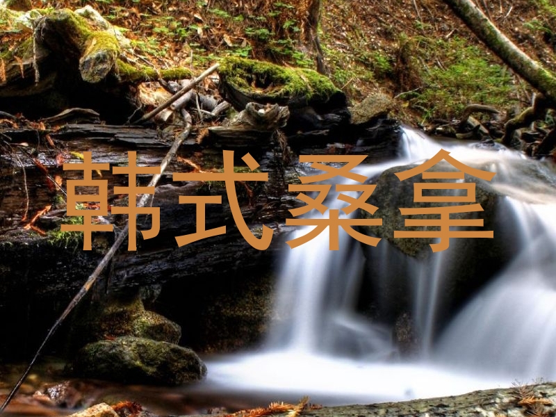 韩式桑拿