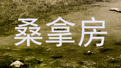 桑拿房