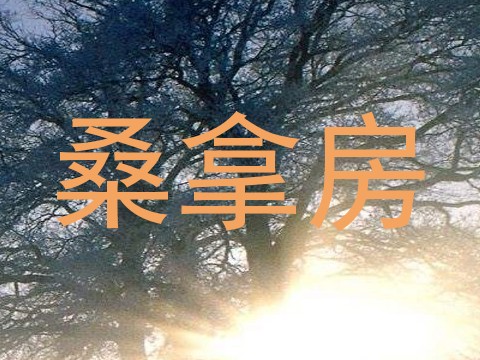 桑拿房