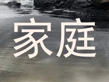 家庭