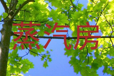 蒸汽房