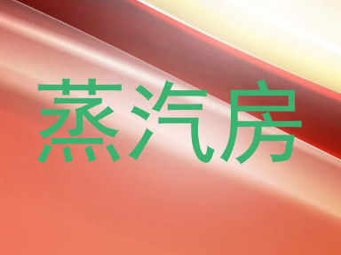 蒸汽房