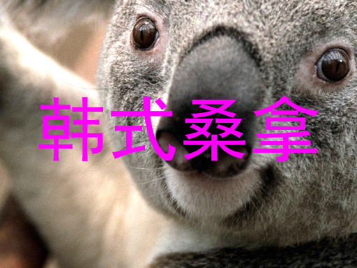 韩式桑拿