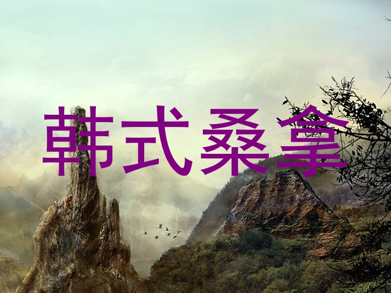 韩式桑拿