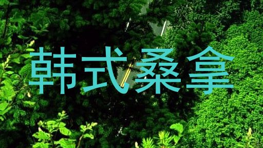 韩式桑拿