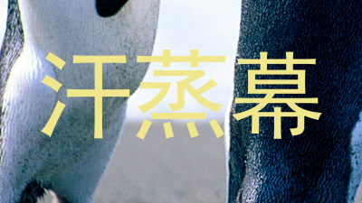 汗蒸幕