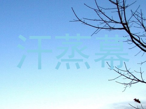 汗蒸幕
