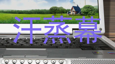 汗蒸幕