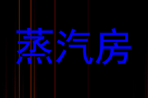 蒸汽房