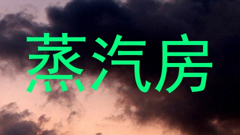 蒸汽房