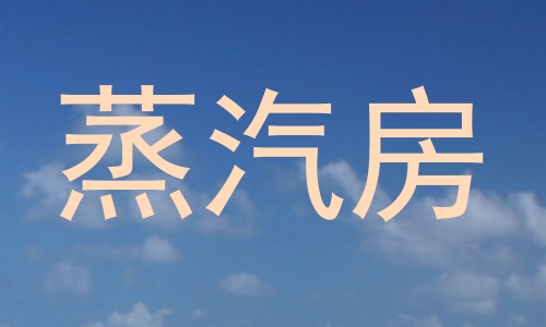 蒸汽房