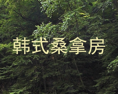 韩式桑拿房