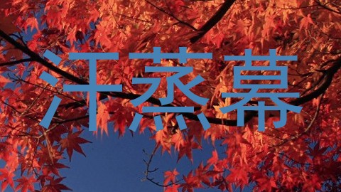 汗蒸幕