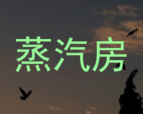 蒸汽房