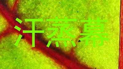 汗蒸幕