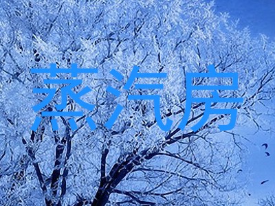 蒸汽房