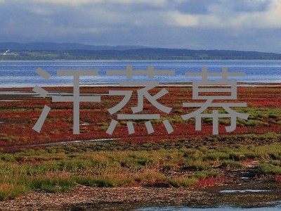 汗蒸幕