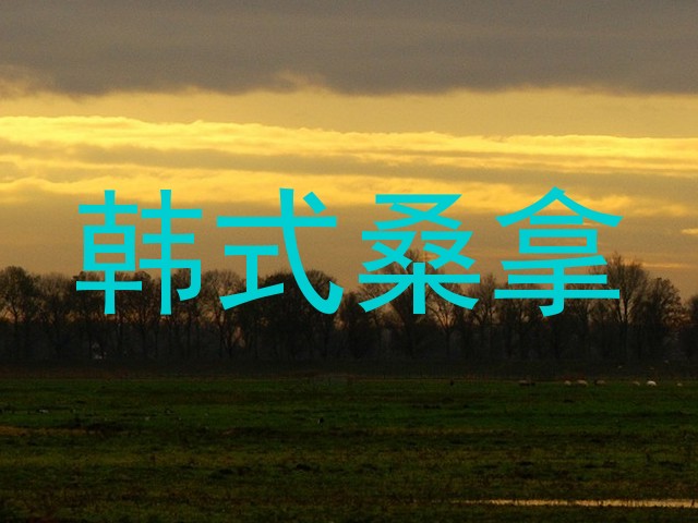 韩式桑拿