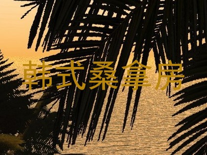 韩式桑拿房