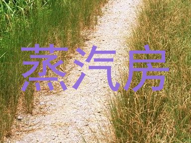 蒸汽房