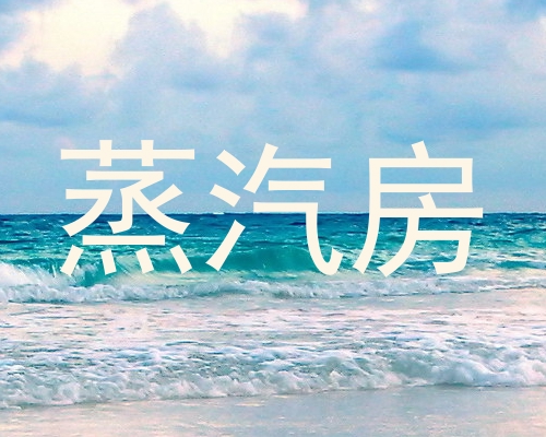 蒸汽房