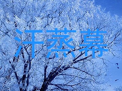 汗蒸幕