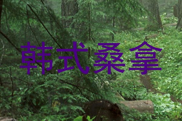 韩式桑拿