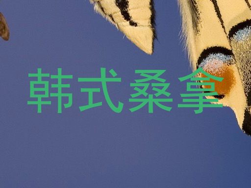 韩式桑拿