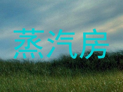 蒸汽房