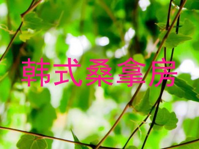韩式桑拿房