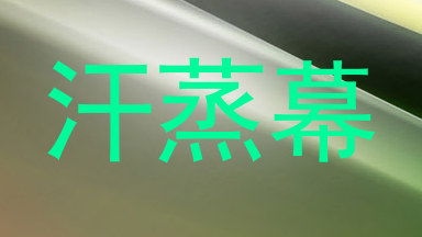汗蒸幕