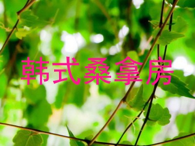 韩式桑拿房
