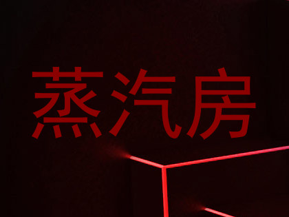 蒸汽房