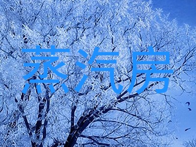 蒸汽房