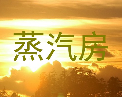 蒸汽房