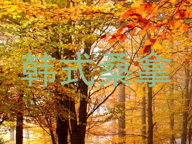 韩式桑拿