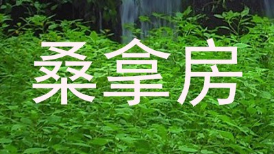 桑拿房