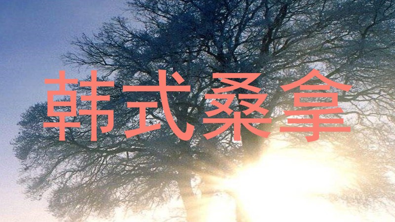 韩式桑拿