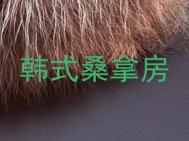 韩式桑拿房