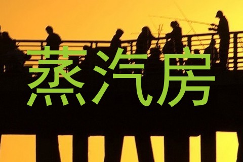 蒸汽房